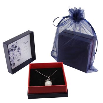 Valentine's Day Owl Always Love You Gift Set (£1.65 Each)