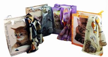 Cat Offer (Approx £2.90 per Set)
