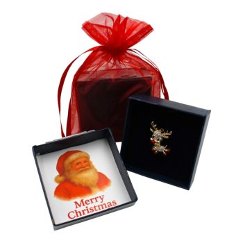 Boxed Christmas Reindeer Brooch