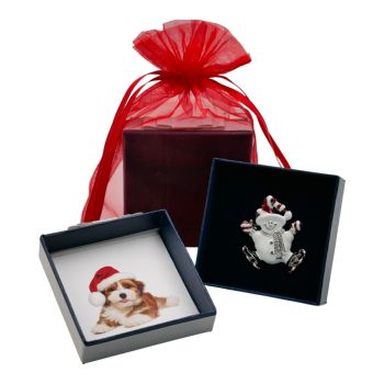 Boxed Christmas Snowman Brooch 