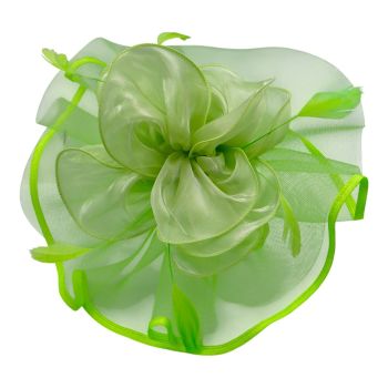 Mesh & Organza Fascinator