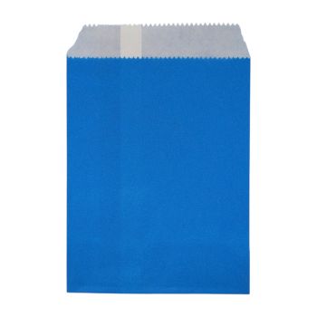 Blue Paper Gift Bag