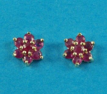 9ct Gold & Ruby Studs