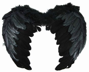 Small Feather Wings (£2.20 each)