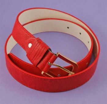 Fancy Snake Skin Style Belts (£1.45 each)