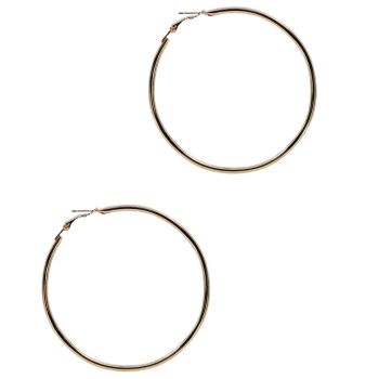 Pierced Hoop Earrings (Prices start from 30p per pair)